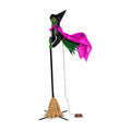 Thornfield 10.5 ft Witch Animatronic, studio packshot on white