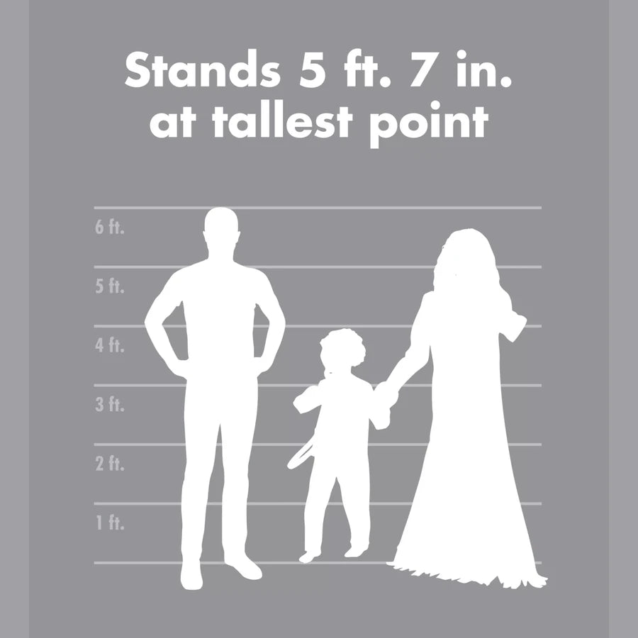 Official height chart: the pair and a reference adult measured on the same ruler