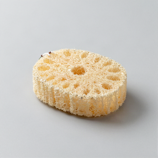 Natural Loofah Sponge